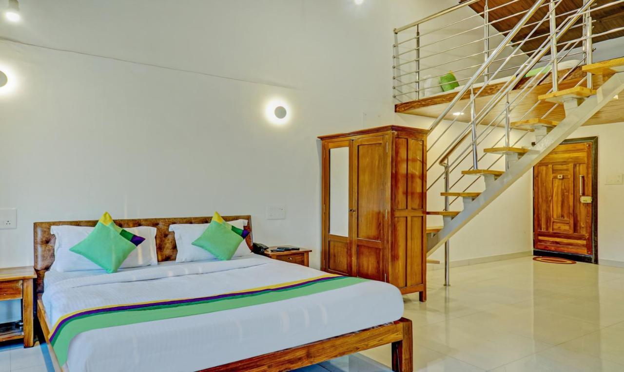 Paradise 3*